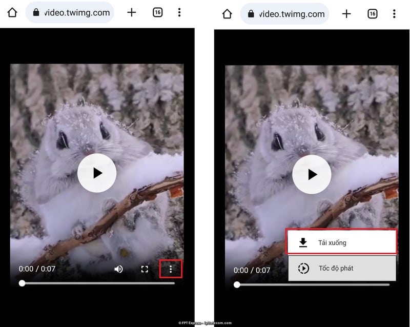 Tải video MP4 từ Instagram và Twitter