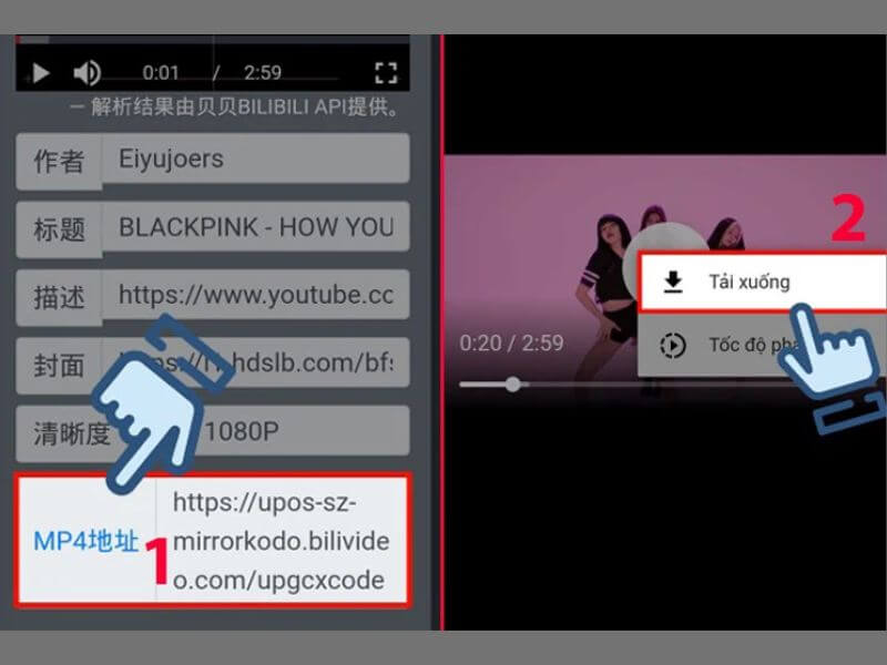 Lưu ý khi tải video từ Bilibili
