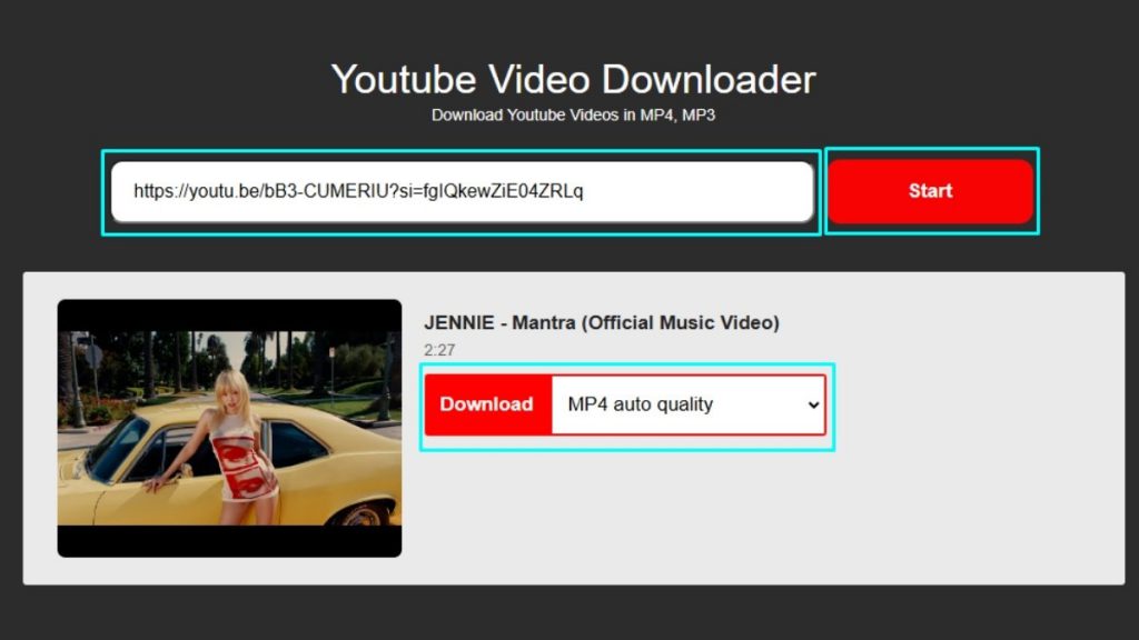 Cách tải video MP4 trên điện thoại và máy tính