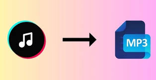 Mục đích khi tải MP3 từ TikTok?